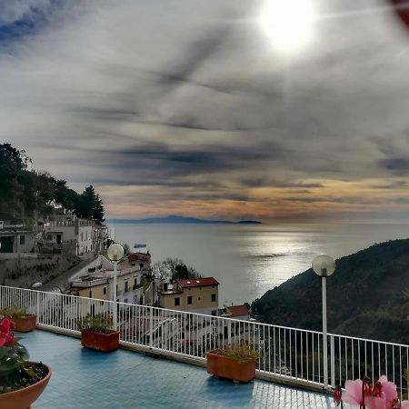 Contrada Vigna Bed & Breakfast วิเอตริ ภายนอก รูปภาพ