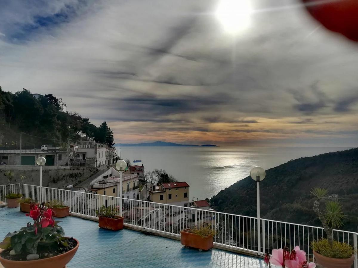 Contrada Vigna Bed & Breakfast วิเอตริ ภายนอก รูปภาพ